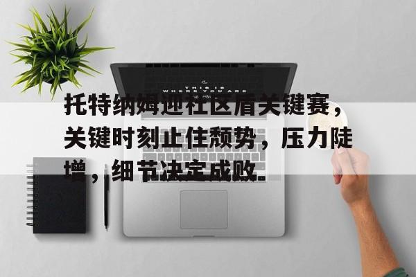 爱游戏体育-关于托特纳姆迎社区盾关键赛,关键时刻止住颓势,压力陡增,细节决定成败的信息