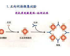爱游戏-包含?j?B?膞蹶Y/客襜0罕}?6槱???E	籑vLP現aT钄?宍^趂?€e?蔡Rjh?